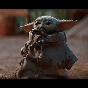 Meet your Posher, Julian